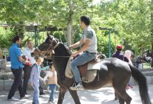 گزارش تصویری از همایش پیاده روی کارکنان در 22 اردیبهشت ماه 